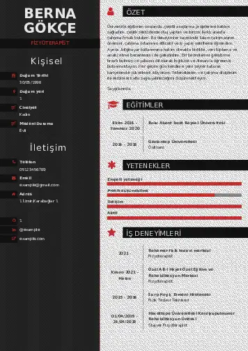 Fizyoterapist Cv Örnekleri cv indir